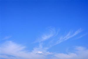 ペット葬儀2025年最新版：失敗しない選び方と費用を徹底解説