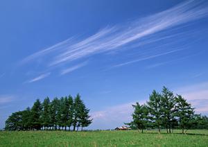 403 Forbiddenエラーの解説と対処法|原因と解決策を詳しく紹介