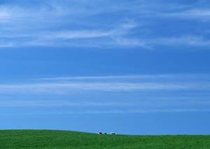 栃木市で信頼と実績の葬儀サービス【さがみ典礼 栃木昭和町】の特徴と詳細情報