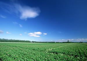 静岡県藤枝市にある信頼の葬儀場【富士葬祭 藤枝御苑】の詳細情報と特徴