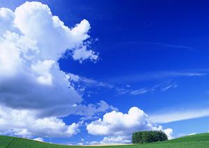 静岡県藤枝市における信頼の葬儀サービス:富士葬祭 藤枝の特徴と安心のサポート体制