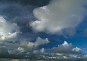 静岡県内の信頼できる葬儀・家族葬会場を徹底解説|【家族葬のタクセル】の魅力と店舗情報