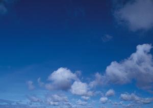 【公式情報をもとに解説】葬儀相談サロン ティア町屋の特徴とサービス内容