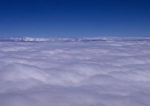 さいたまで選ばれる家族葬のポイント徹底解説!2025年最新情報