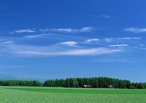 静岡市清水区に位置する富士葬祭清水の全て:家族葬から大型葬儀までをサポートする信頼の葬儀場